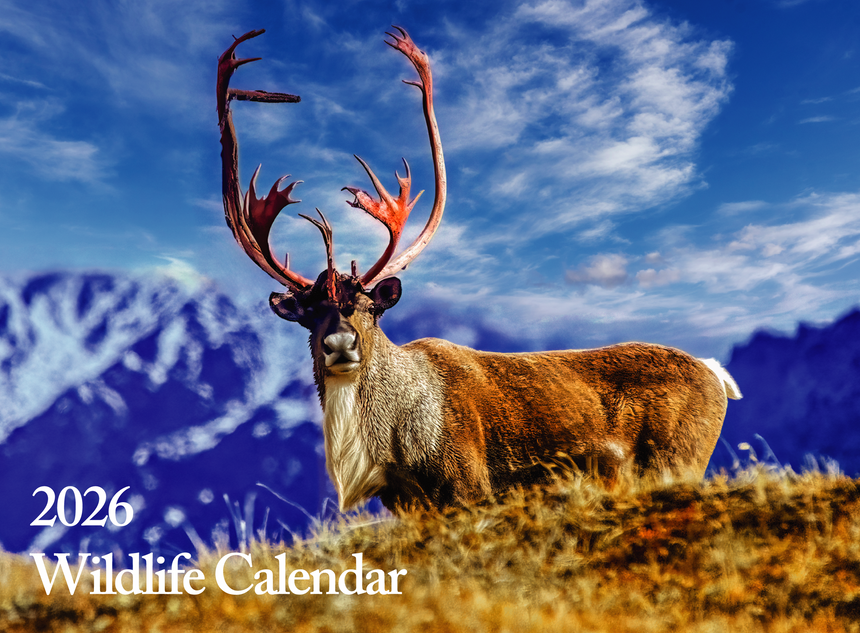 Wildlife, 2026 Calendar